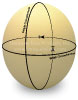 Ostrich Eggshell Sizing Diagram Closeup