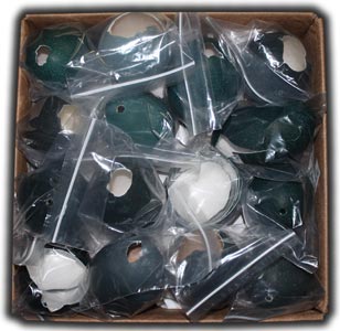 Emu Eggshell Pieces Eggs