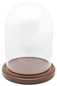 Glass Display Dome with Wood Base