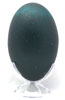 Close Up - Halo Emu Eggshell