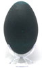 Close Up - Spiral Emu Eggshell