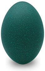 Eggshells
