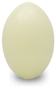 Rhea Eggshell Grade B